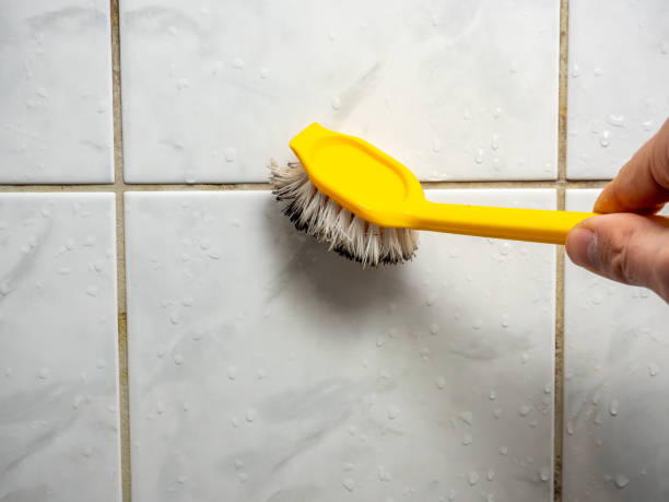 Certified Mold Removal in Ontonagon, MI