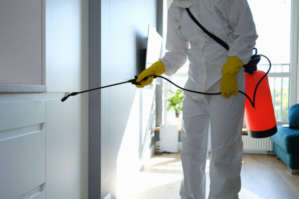 Best Emergency Mold Removal  in Ontonagon, MI