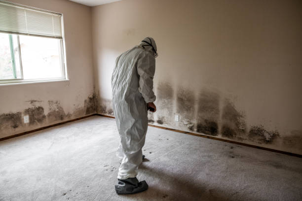 Best Mold Testing  in Ontonagon, MI